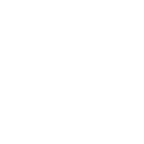 Houston Rockets